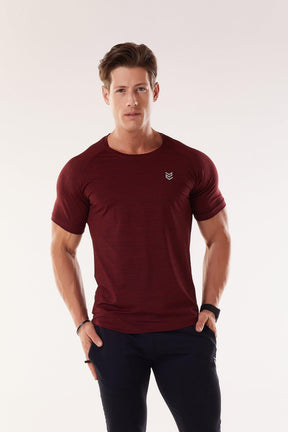 Camiseta Dry PRO
